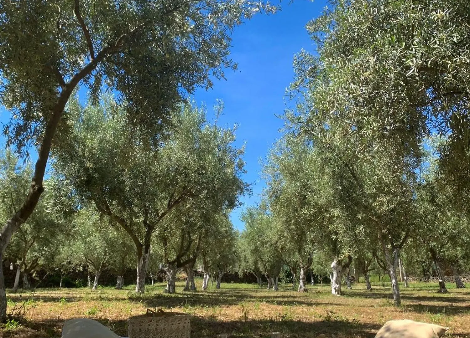 Casa Vacanze Etna Santa Maria di Licodia